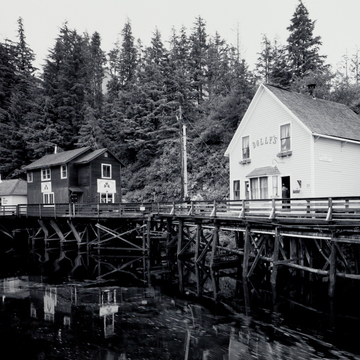 Dolly's House