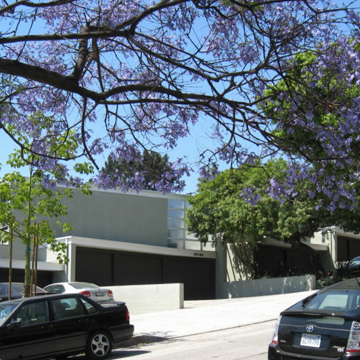 Avenel Homes