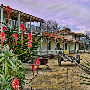 Old Custom House