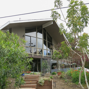 The Life House