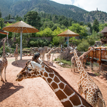 Cheyenne Mountain Zoo and Education Center