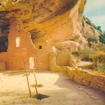 Spruce Tree House