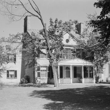 The Maples