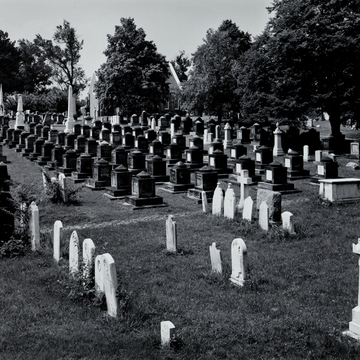 Congressional Cemetery