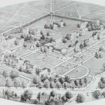 American University