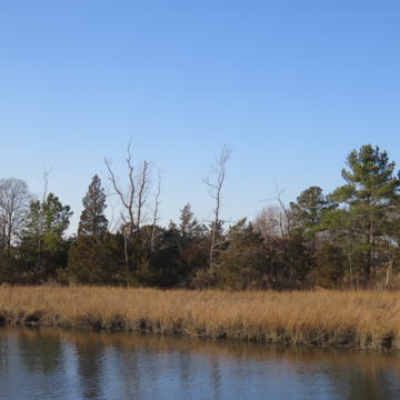 Pagan Creek Dike