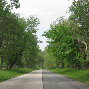 Nine Foot Road (Smith Mill Road)