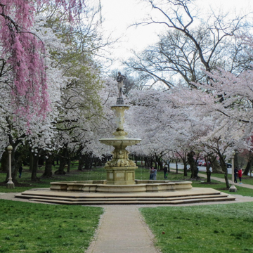 Josephine Fountain (Josephine Tatnall Smith Memorial Fountain)