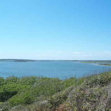 Turtle Mound