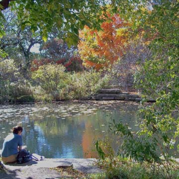 Alfred Caldwell Lily Pool