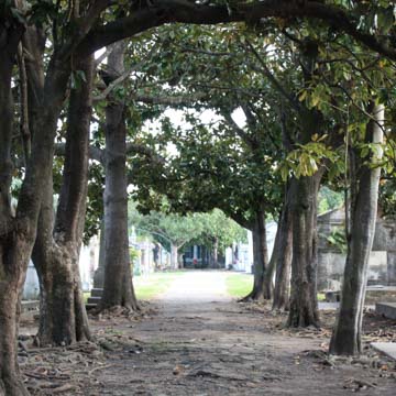 Lafayette Cemetery No. 1