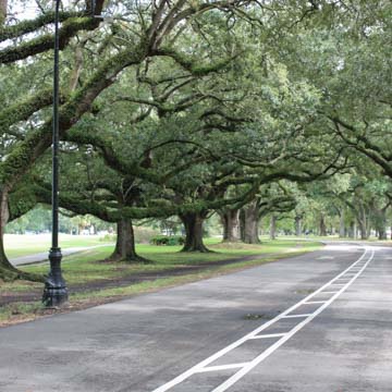 Audubon Park