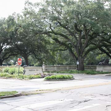 Audubon Zoo