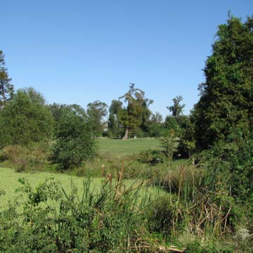 Brechtel Memorial Park