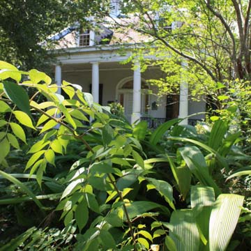 New Orleans African American Museum of Art, Culture and History (Villa Meilleur)