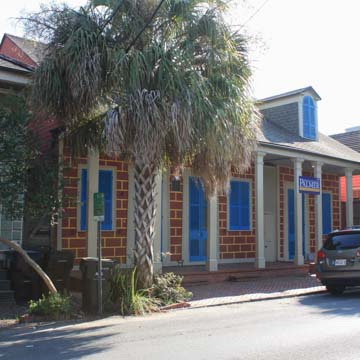 Sun Oak