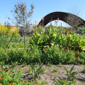 Crescent Park