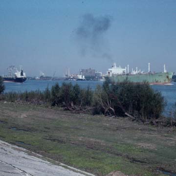 Domino Sugar Corporation (American Sugar Refinery)