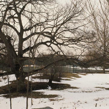 Beaver Brook Reservation