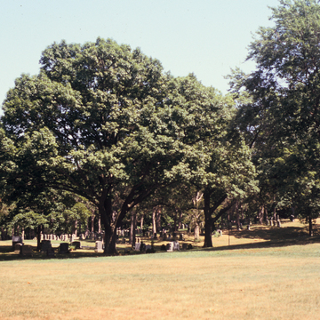 Walnut Hills Cemetery (NR)
