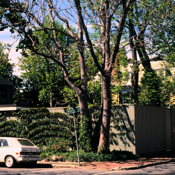 9 Ash Street