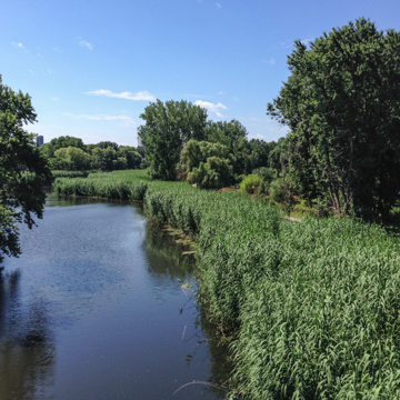 Back Bay Fens