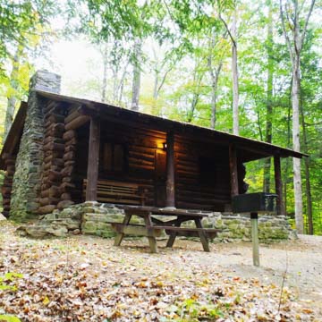 Cabin No. 1