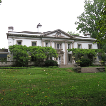 LIRIODENDRON