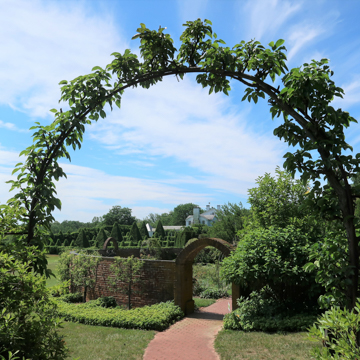 LADEW TOPIARY GARDENS