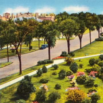 Postcard