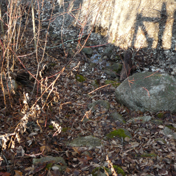 Damariscotta Oyster Shell Heaps