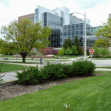 Biomedical-Physical Sciences