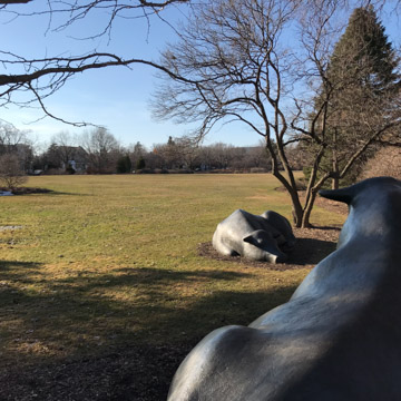 The Lawn, St. Paul Campus (photo taken in 2018)
