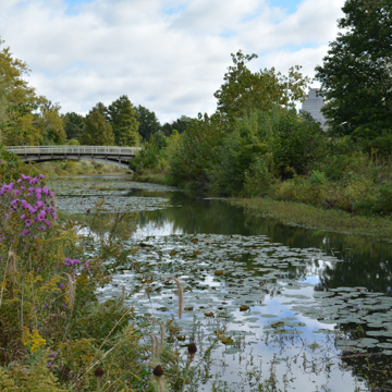 River des Peres