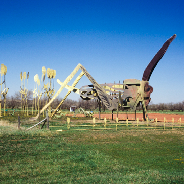 "Grasshoppers in the Field"
