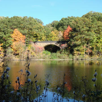 Mill Creek Park