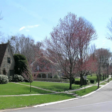 Mission Hills