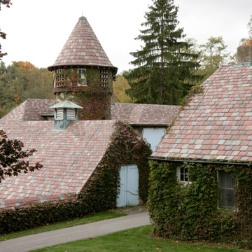 Norman Village, Klein Immergrun