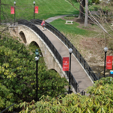 Grove City College