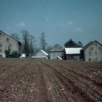Kauffman Farm
