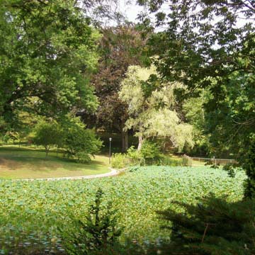 Wilcox Park