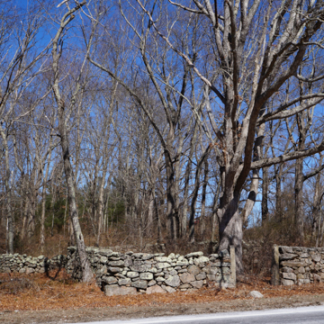 Exeter Town Pound