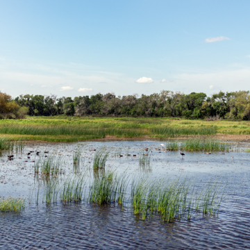 Santa Ana National Wildlife Refuge