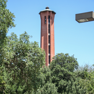 Trinity University