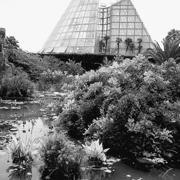 San Antonio Botanical Gardens