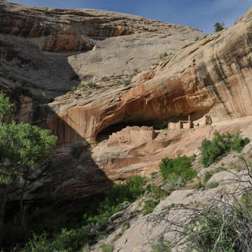 Monarch’s Cave