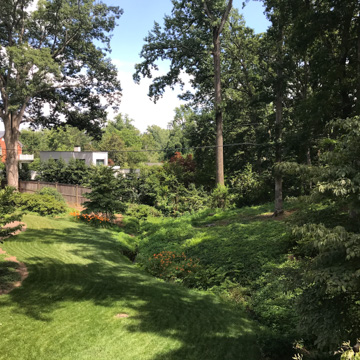 Nannie M. Cole Residence
