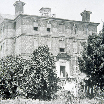 Rosewell