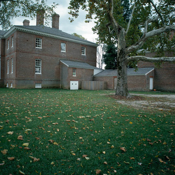 Blandfield