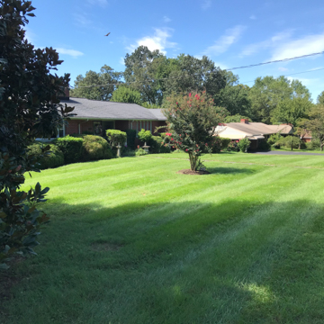 Krise Circle Houses
